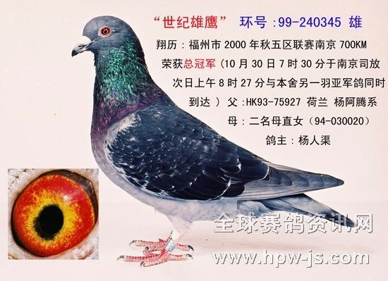 兩千年南京冠軍