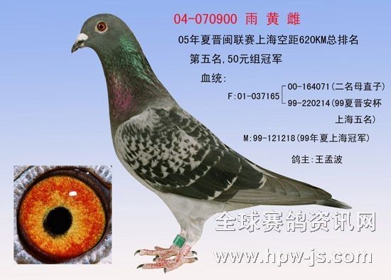 96上海冠軍外孫女