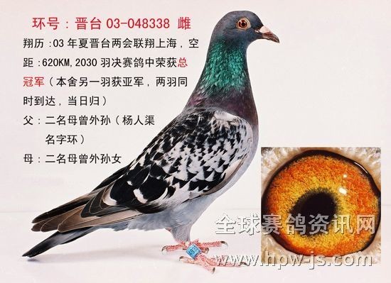 03年冠軍