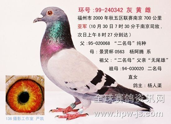 兩千年南京亞軍