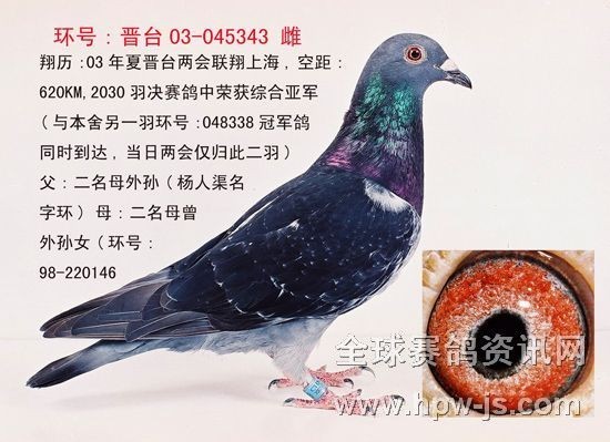 03年亞軍