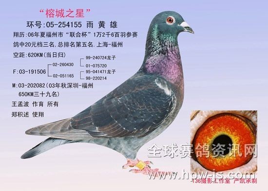 06夏20元檔季軍