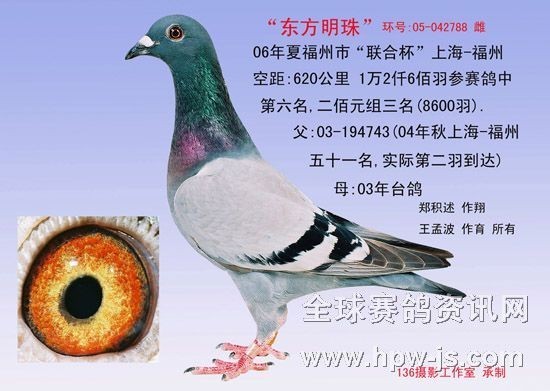 06夏季軍