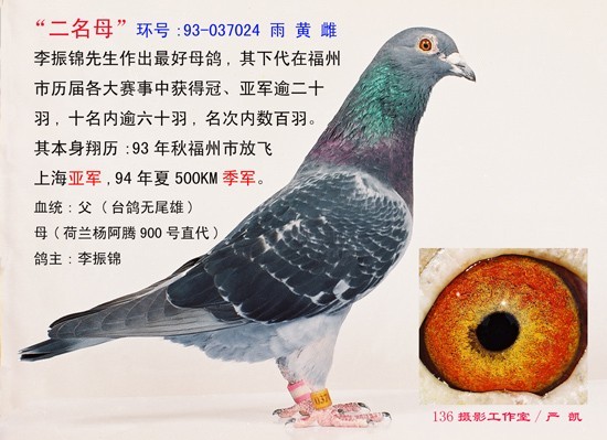 此照拍攝于2000年底