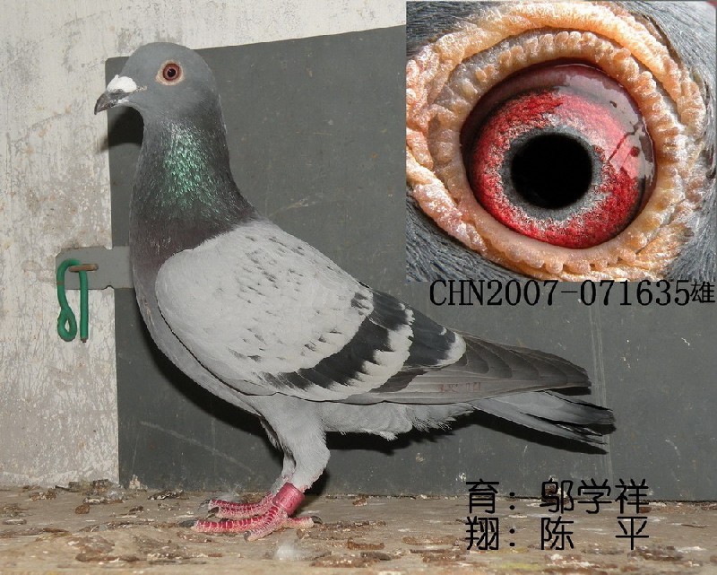 ڶƽӭh(hun)̖(ho)071635.c(din)ɰ