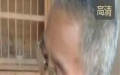 Յ^(q)(hu)2019618@(jing)(yn)(sh)r