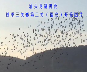 ^2019＾PِڶP_\DƬ