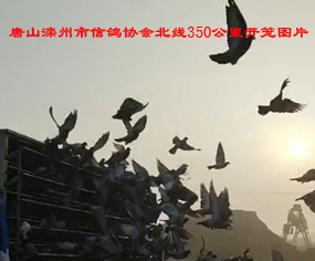 ɽf(xi)350_\DƬ