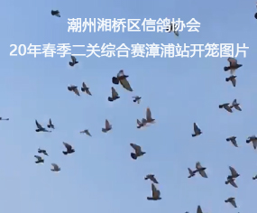 ^(q)f(xi)20괺PCِվ_\DƬ
