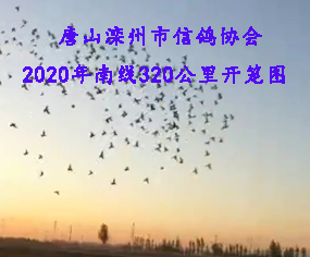 ɽf(xi)Ͼ320_\