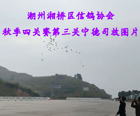 20＾PِP_\rg˾ňDƬ