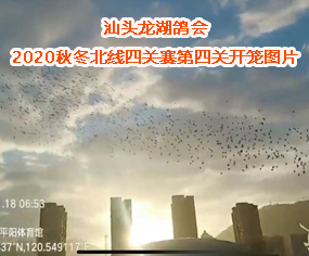 ^--2020ﶬPِPƽꖣ_\
