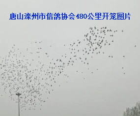 ɽf(xi)480_\֪ͨ