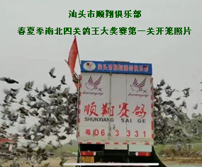 ^㘷(l)2021괺ļϱP(gun)(jing)ِһP(gun)_(ki)\Ƭ