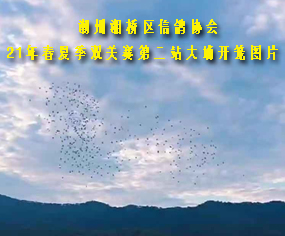 ^(q)f(xi)21괺ļpPِڶվ_\