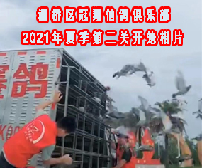 2021ļڶP(gun)_(ki)\Ƭ