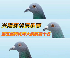 2021d¡ِ㘷رȭh(hun)ِǰʮp