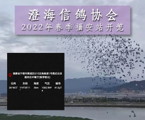 κf(xi)22괺վ_\֪ͨ