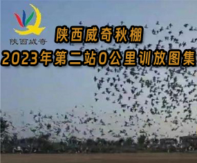 2023ڶվ0Ӗ(xn)ňD