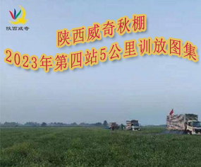 2023վ5Ӗ(xn)ňD