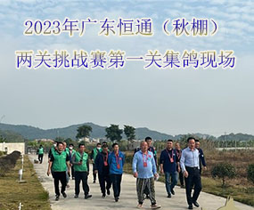 2023V|ͨP(gun)(zhn)ِһP(gun)F(xin)