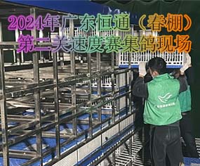 2024V|ͨڶP(gun)ٶِF(xin)