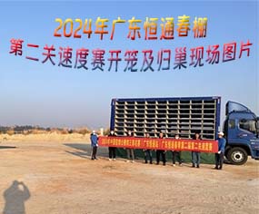 2024V|ͨڶP(gun)ٶِ_\wF(xin)DƬ