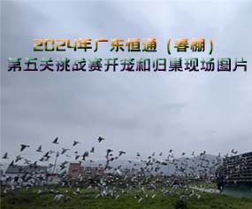 2024V|ͨP(gun)(zhn)ِ_\͚wF(xin)DƬ