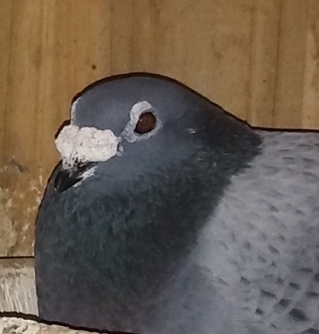 ^